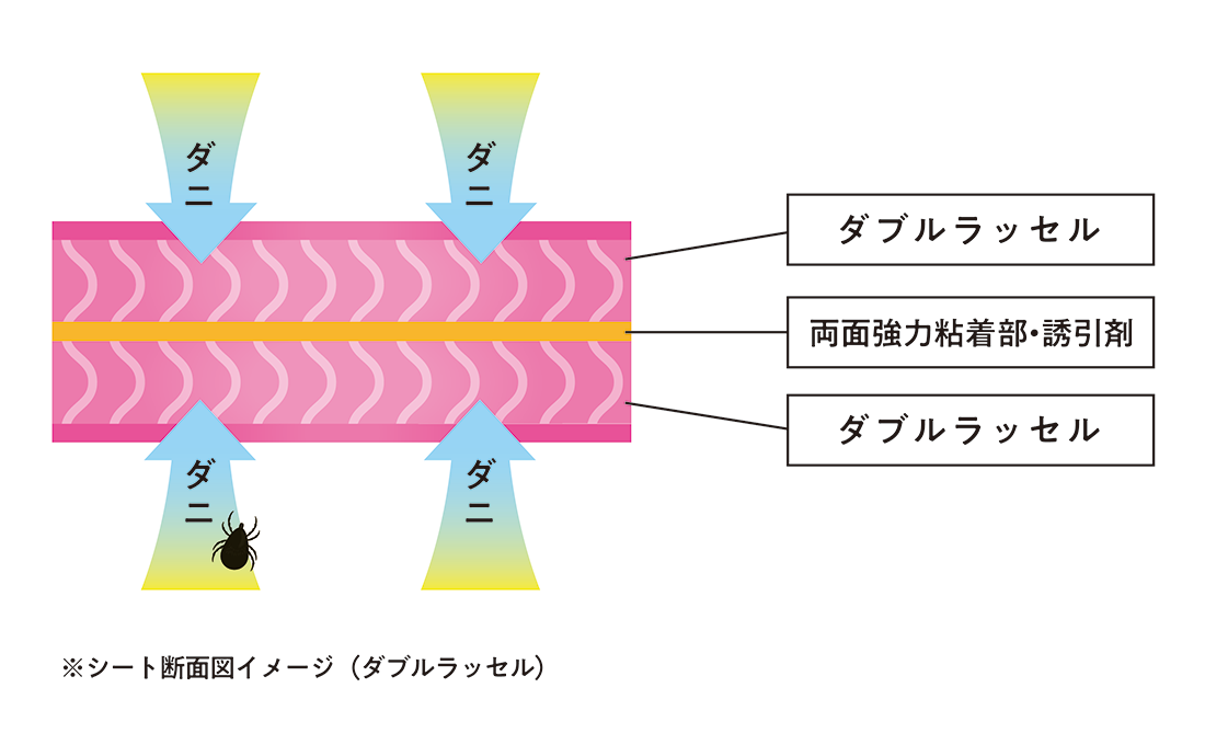 ダブルラッセル断面イメージ